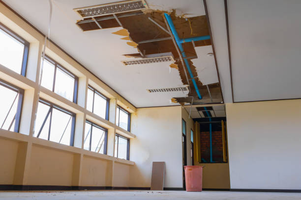 Best Water damage restoration near me  in Prairie Creek, AR