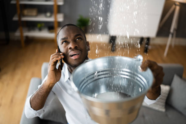 Best Carpet water damage restoration  in Prairie Creek, AR