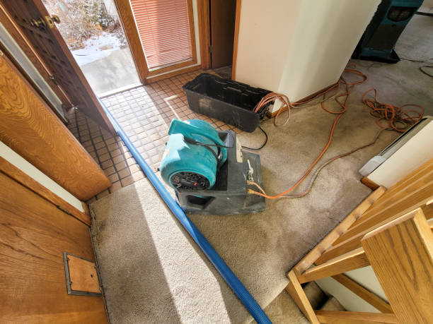  Prairie Creek, AR Water damage restoration Pros