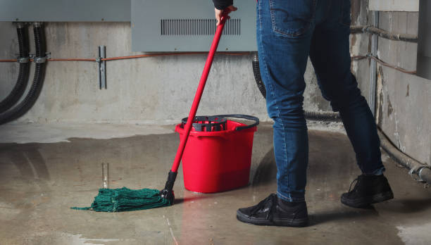 Trusted Prairie Creek, AR Water damage restoration Experts