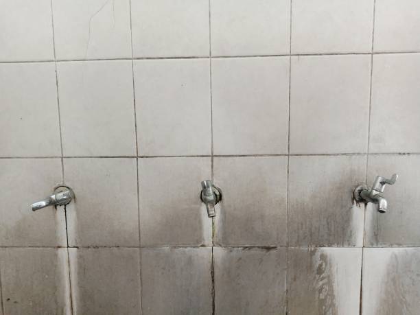 Best Ceiling water damage repair  in Prairie Creek, AR