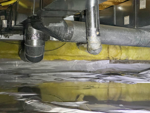 Best 24/7 water damage repair  in Prairie Creek, AR