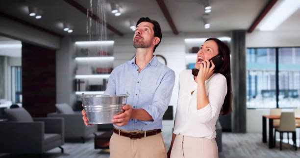 Best Water damage restoration near me  in Prairie Creek, AR